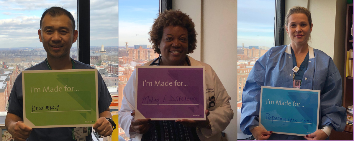 lij forest hills hospital