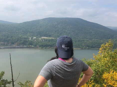 walk to the parks step challenge