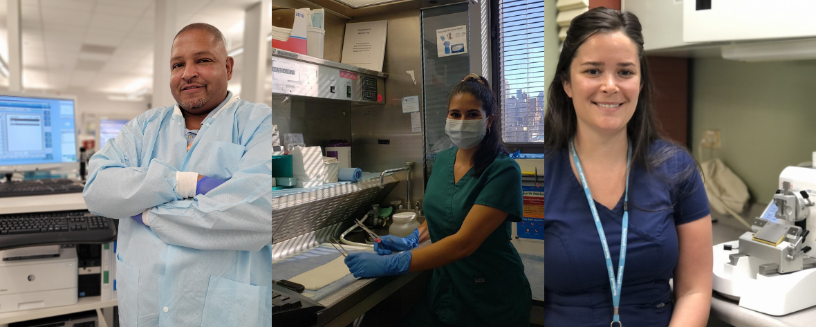 medical professional lab week